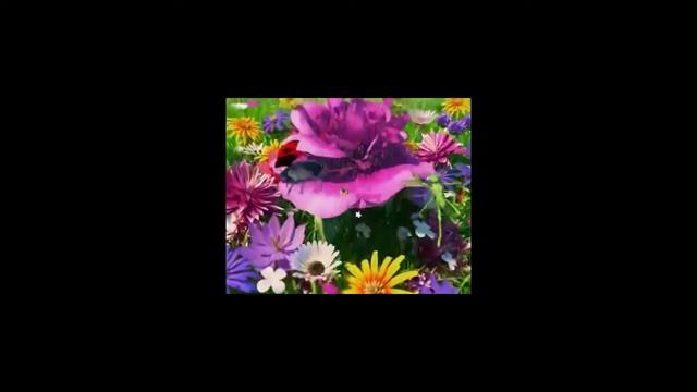 2 часа музыка для детского сна детская колыбельная перед сном детская колыбельная Лето смотреть онлайн