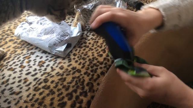 Чехол на ps4 зелёный смотреть онлайн