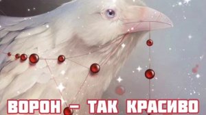 Ворон - Так Красиво|Шоу "Маска-4"|[7-Выпуск❤️?]