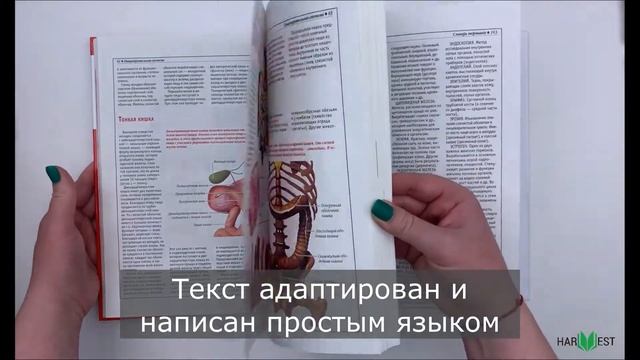 Книга Атлас анатомии человека, основы строения и физиологии смотреть онлайн