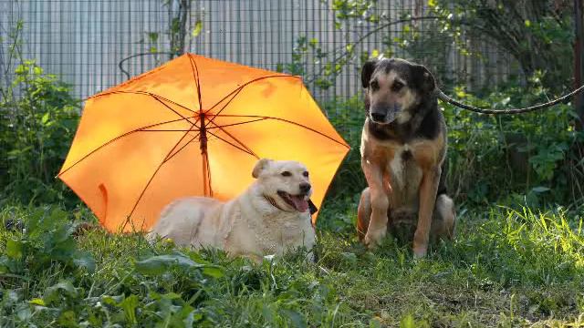 С Днем Всех Влюбленных!!