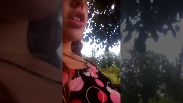 Я нашла 4 котенка на мусорке😺😺😺😺🐱🐱🐱🐱🐱🐈🐈🐈🐈 смотреть онлайн