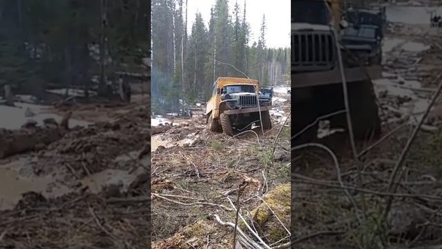 Урал По Бездорожью Легендарные_Грузовики_Ссср??? смотреть онлайн