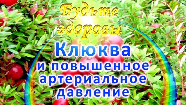 Клюква и повышенное артериальное давление смотреть онлайн