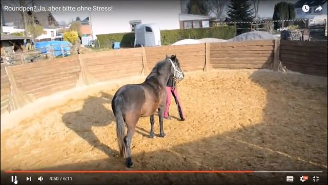 React: Roundpen-Arbeit mit Sandra Schneider - wo ist der angepriesene Dialog? смотреть онлайн