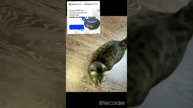 Rutube_account_11542995