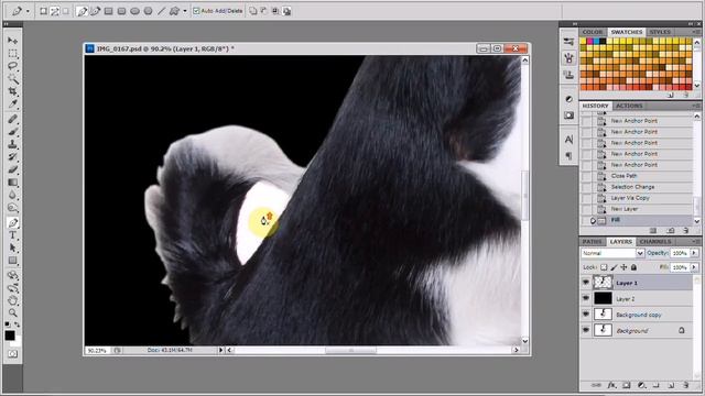 Cutting Out With the Pen Tool - Photoshop смотреть онлайн