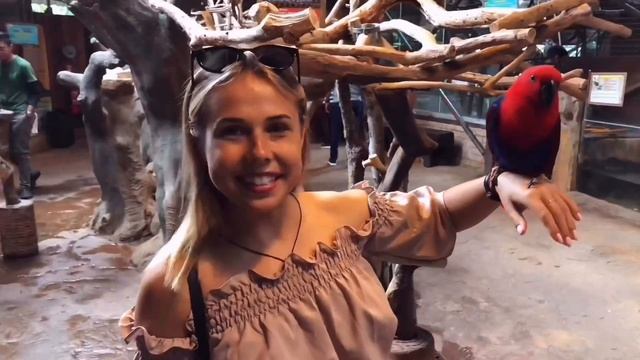 Путешествие в Малайзию, Куала-Лумпур Светлячки Sky Box Башни близнецы смотреть онлайн