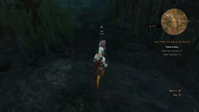 RAG The Witcher 3: Wild Hunt Play As Ciri смотреть онлайн