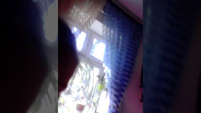 Я покупаю цветы смотреть онлайн