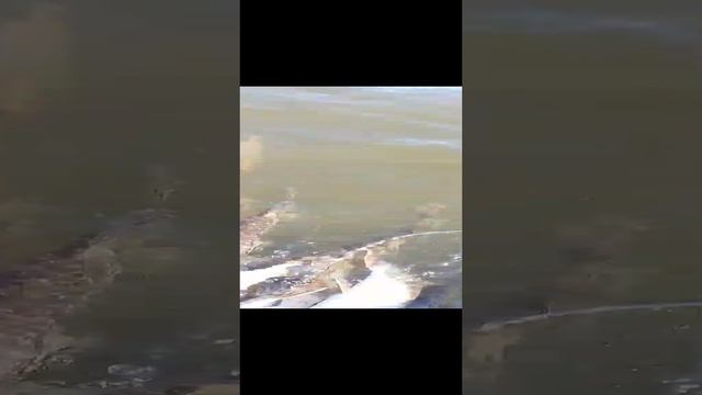 удачная рыбалка. смотреть онлайн