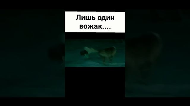 зов предков советую посмотреть! всем спокойной ночи!?? смотреть онлайн