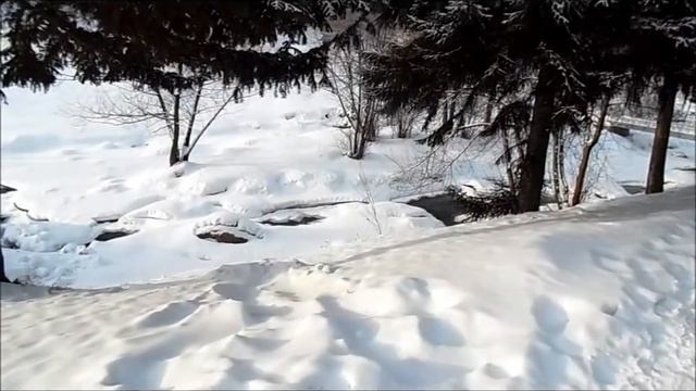 Зима в Белокурихе смотреть онлайн
