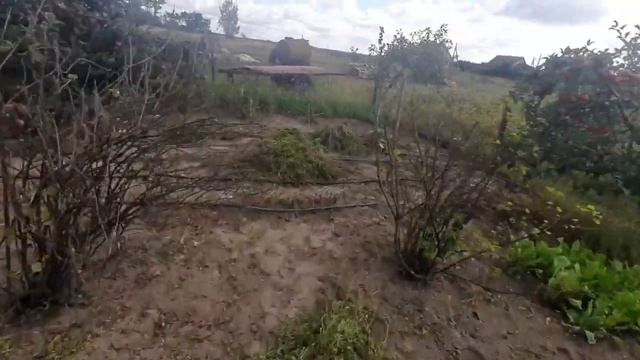 капельный полив( результат)(((