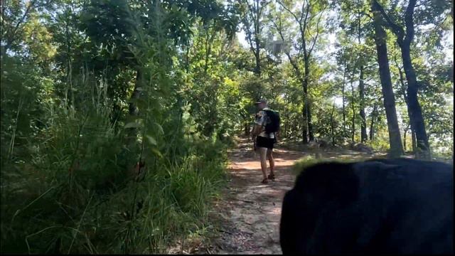 HOVERAir X1 - How is it for Hiking? (Up/Down hills, Uneven Ground, a Dog, and More) смотреть онлайн
