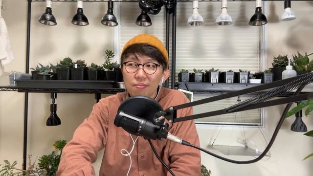 【3/8】DON DON talk！給食の面白い話！パンは何派？肝油って何？どんちゃんを花友フェスタに連れていって！ смотреть онлайн