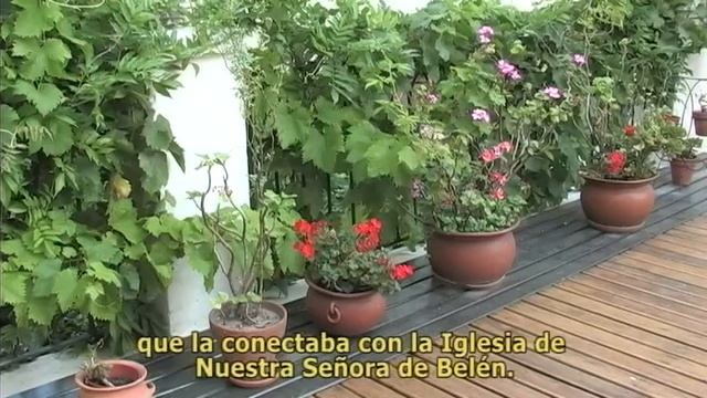 Rosedal y Convento de Santo Domingo | Realizado por FOCUS para Gobierno de la Ciudad de Buenos Aire смотреть онлайн