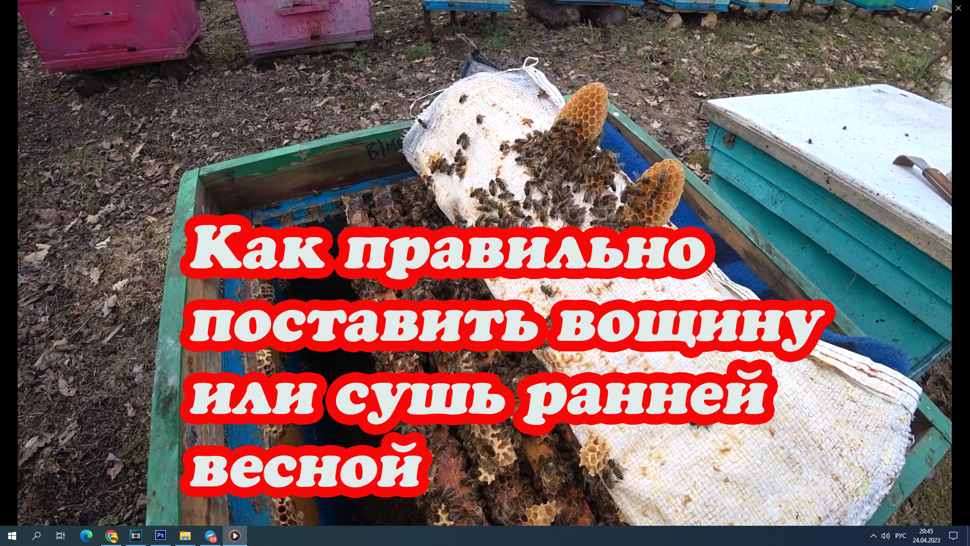 КАК ПРАВИЛЬНО ПОСТАВИТЬ ВОЩИНУ И СУШЬ РАННЕЙ ВЕСНОЙ. смотреть онлайн