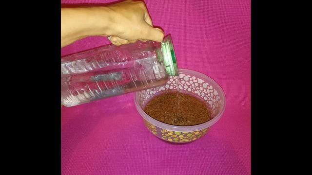 Кулинарное Вдохновение