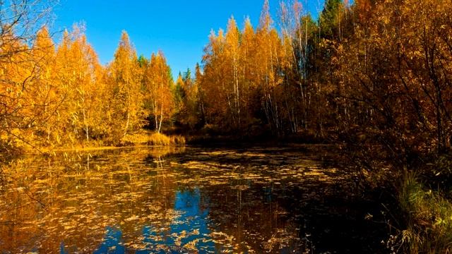 Лучшее давление для рыбалки , какое нормальное давление для рыбалки смотреть онлайн