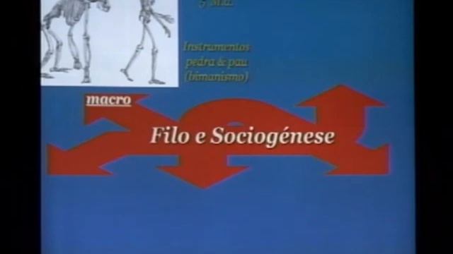 "Psicomotricidad y Problemas de Aprendizaje" Prof. Dr. Vitor Da Fonseca смотреть онлайн
