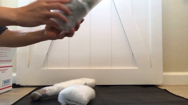 Scindapsus Pictus SILVERY ANN Plant Mail Unboxing + 2 Surprise Plants (Monstera and Hoya Cutting) смотреть онлайн