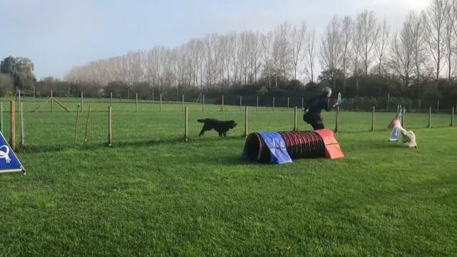 FIG.8 Tunnel смотреть онлайн