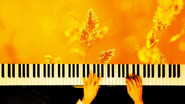 JVKE - GOLDEN HOUR (Wedding Version) | Piano Cover by Paul Hankinson feat. Pachelbel's Canon смотреть онлайн