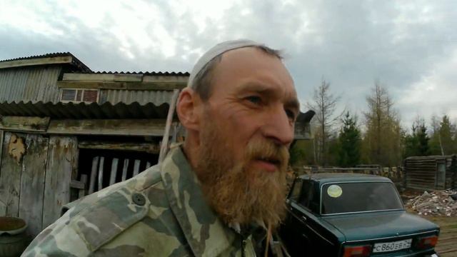 Алабаи в гостях у котёнка. смотреть онлайн