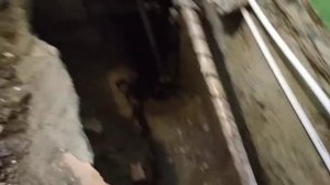 Замена канализации в Хрущевке на 1 этаже. Что Вас ждёт? Дом без подвала.