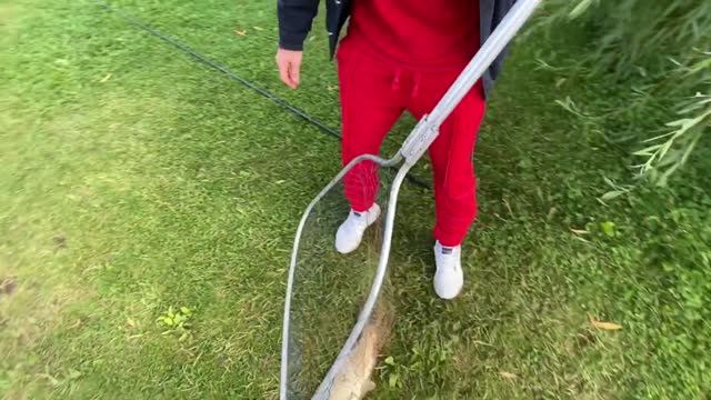 РЫБОЛОВНАЯ БАЗА ИХТИОЛОГ смотреть онлайн