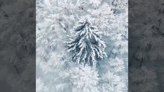 ПЕСНЯ БЕЗ СЛОВ. Музыка, исполнение и видеомонтаж Заури Оспановой. смотреть онлайн