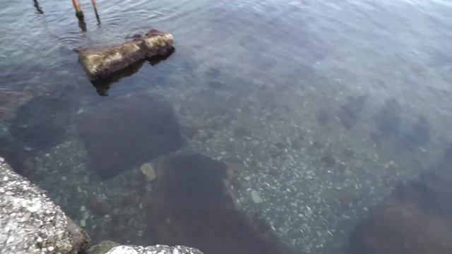 Набережная Рыбзавода Новороссийска смотреть онлайн