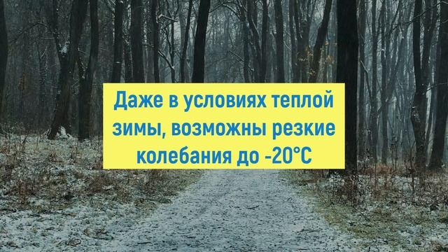 ПОГОДА НА ЗИМУ 2023 : ПРОГНОЗ И НАРОДНЫЕ ПРИМЕТЫ смотреть онлайн