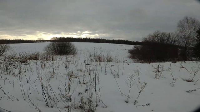 Бэтман первый раз в лесу))) смотреть онлайн