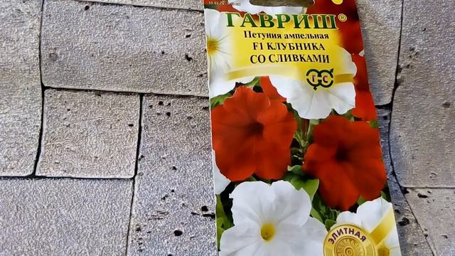 Петуния ампельная F1 Клубника со сливками - ознакомление