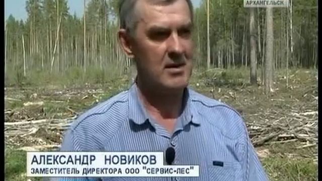Группа "Илим" начала лесовосстановительные работы смотреть онлайн