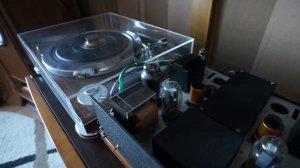 Amplifier Tube SE EL12 + Tannoy Gold Monitor 12»