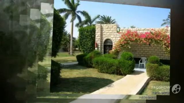 отели хургады sea gull смотреть онлайн