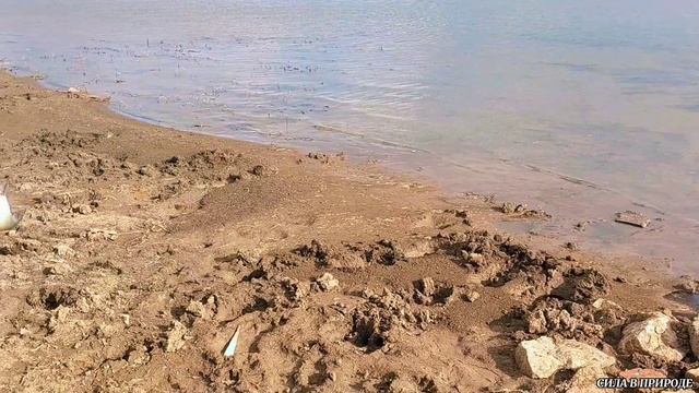 Рыбалка и семейный отдых на озере . Природа смотреть онлайн