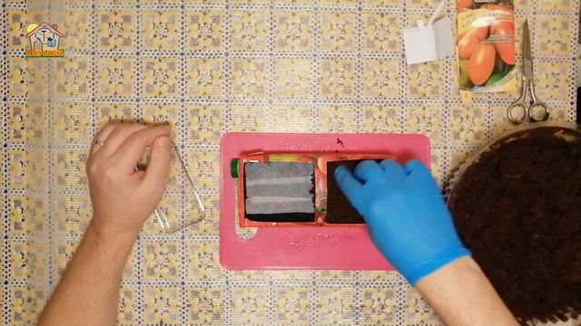 Томат желтый. Как я сею семена под кокосовый субстрат. День 1. DIY & DACHA №171 смотреть онлайн