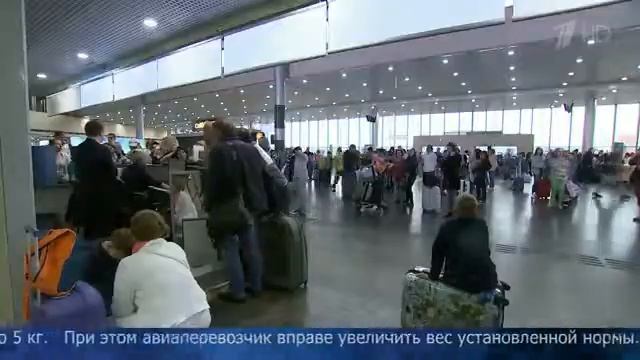 В России с 5 ноября вступили в силу новые правила провоза ручной клади в самолетах. смотреть онлайн