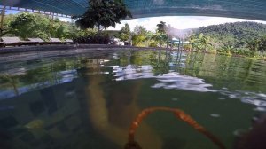 Будда Новые источники отель Libra Nha Trang