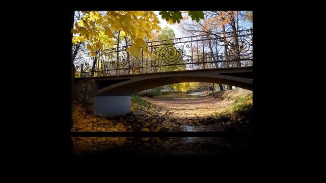 Листья. Фото и монтаж коллажа. смотреть онлайн