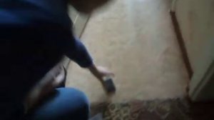 краш тест  fly