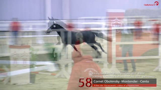 58 Junghengst v. Cornet Obolensky - Montender смотреть онлайн