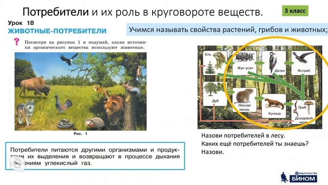 Вахрушев А.А. Экологическое образование школьников на основе УМК «Окружающий мир» (Вахрушев А.А.) смотреть онлайн