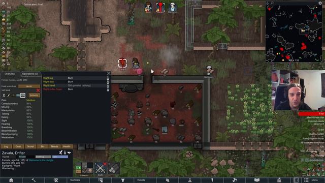Alpha Biomes Feralisk Jungle Ep 02 Rimworld Royalty Gameplay смотреть онлайн