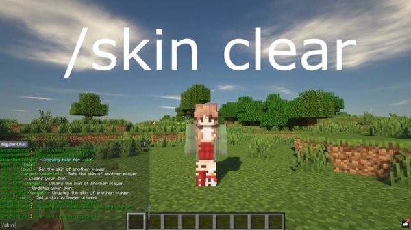 Minecraft setting up SkinRestorer plugin 1.16.4