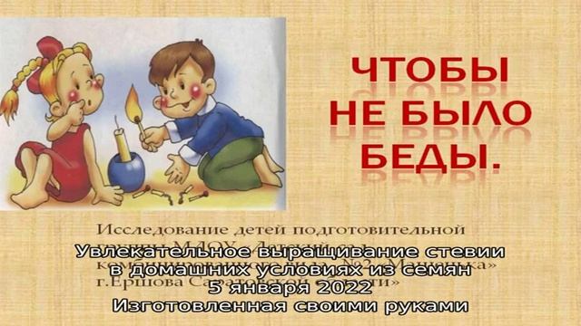 Особенности посадки и размножения вриезии смотреть онлайн